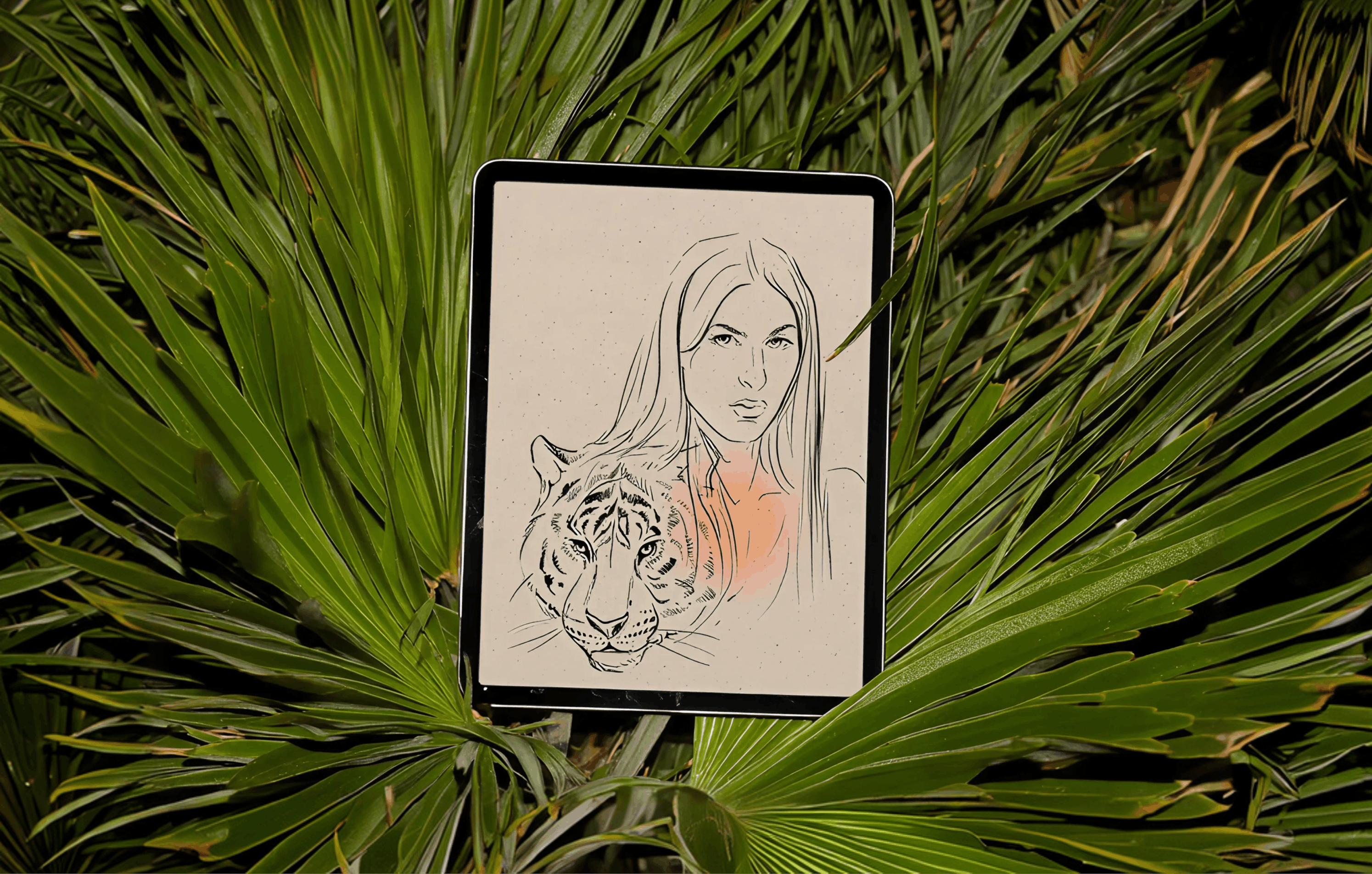 mizata-live-illustration case study hero image
